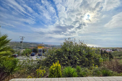 b8278a5c39760793b57c9651f242dcfd - 45