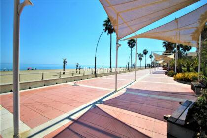 b86647e95d874ca6dd5a1b67eb4b343c - 1