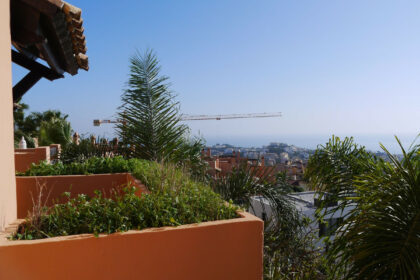 ba3a0909c668ea407a8212ff81e5f052 - 30