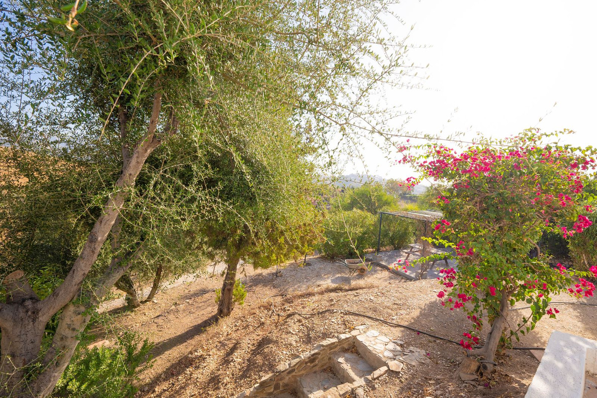 bb80616b63f821b08cc91b82f12af654 - 55