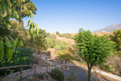 bb80616b63f821b08cc91b82f12af654 - 57