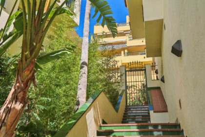 bc0dfb9552fa90118fa460f24db0c71f - 26