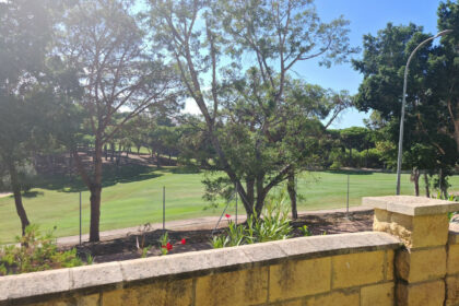 bc0dfb9552fa90118fa460f24db0c71f - 29