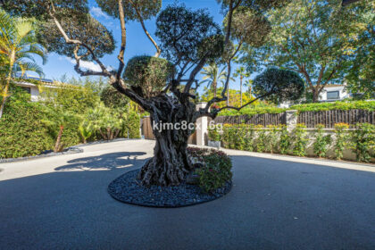 bde7f6bf7ec41ed9b04645962fad8ecd - 87