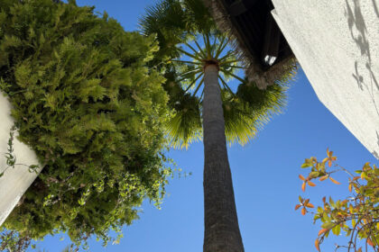 be21800c21577e0293dd92b9ef2fc000 - 3