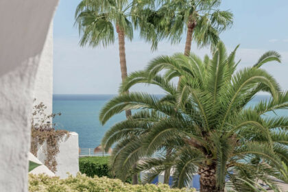 c0908b93f2fab4768dfdd20cf03a7f83 - 29