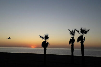 c0a4a64dfc7cf0e6c03c1984ea8a8ba9 - 15