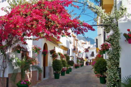 c0a4a64dfc7cf0e6c03c1984ea8a8ba9 - 16