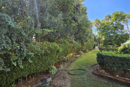 c2e527ede364da8eb79f631e9622fee1 - 7