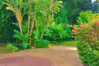 c307376c5e8faa90202e3ec9e1f55f65 - 47