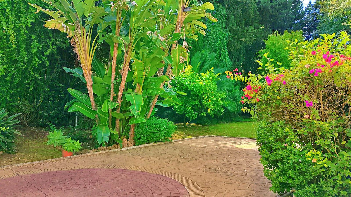 c307376c5e8faa90202e3ec9e1f55f65 - 47