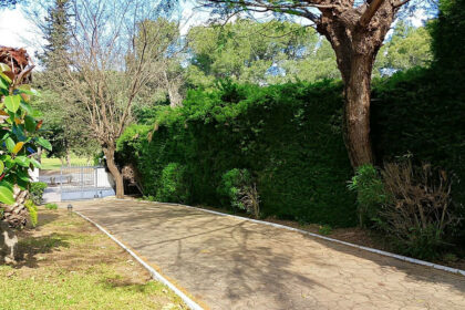 c307376c5e8faa90202e3ec9e1f55f65 - 49