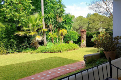 c307376c5e8faa90202e3ec9e1f55f65 - 50