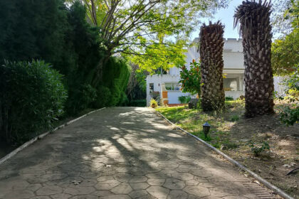 c307376c5e8faa90202e3ec9e1f55f65 - 54