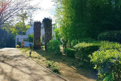 c307376c5e8faa90202e3ec9e1f55f65 - 55