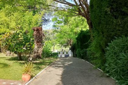 c307376c5e8faa90202e3ec9e1f55f65 - 59