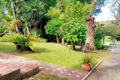 c307376c5e8faa90202e3ec9e1f55f65 - 61