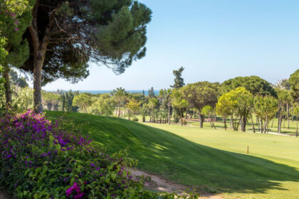 c3971a1739a717a4160d08ae2f1434cc - 28