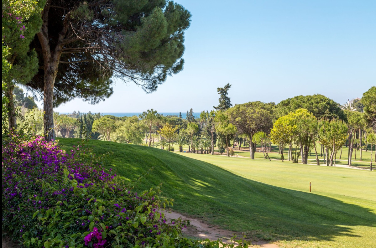 c3971a1739a717a4160d08ae2f1434cc - 28