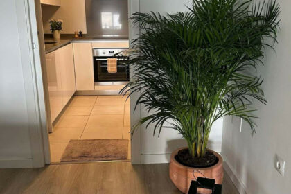 c43246de034264dea7e70e738f2755da - 24