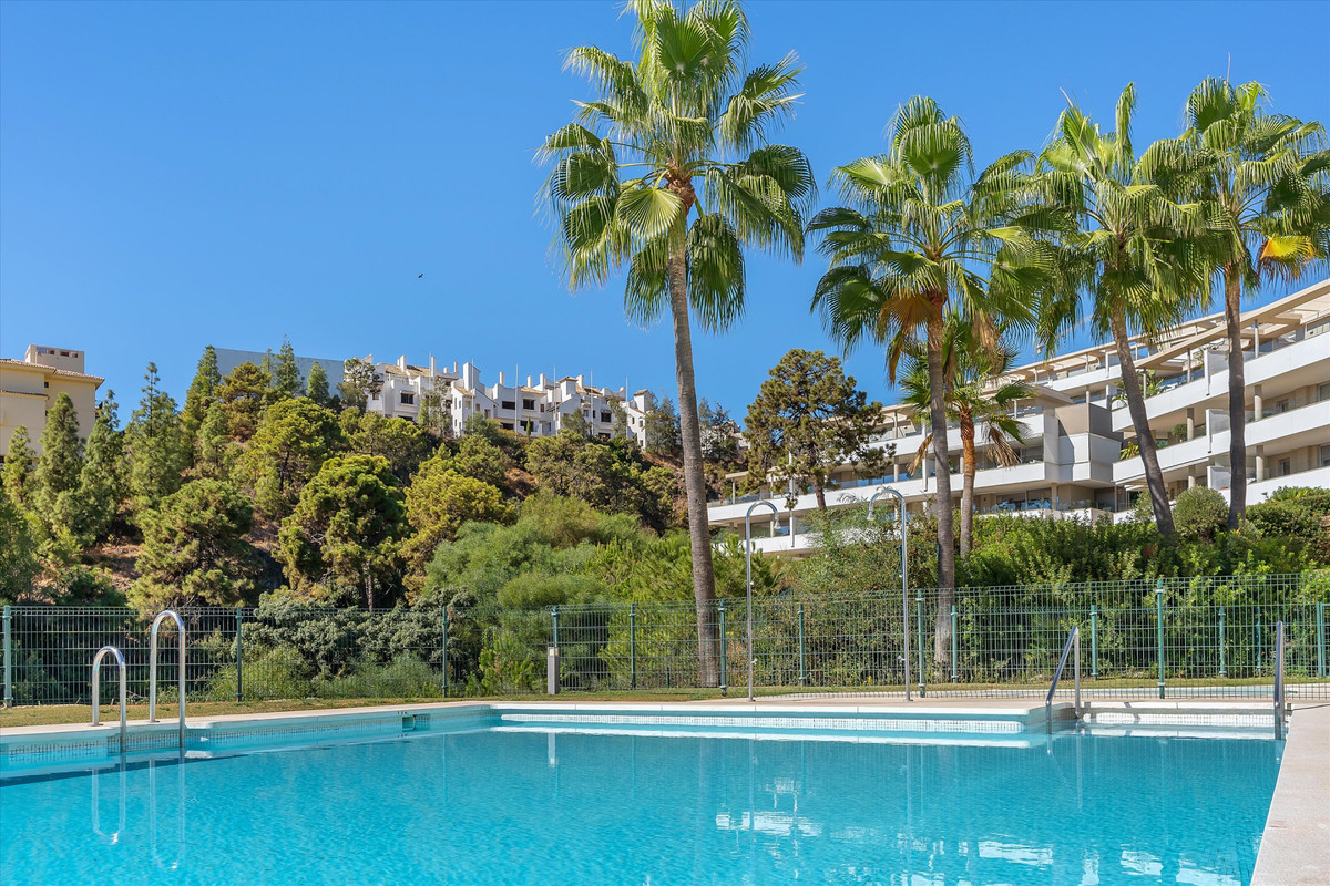 c4dddbab70c17e473c1ad19e12200b5d - 28