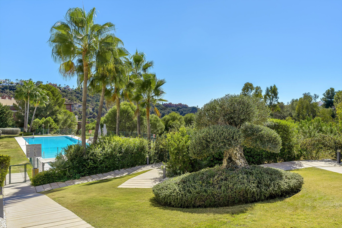 c4dddbab70c17e473c1ad19e12200b5d - 29