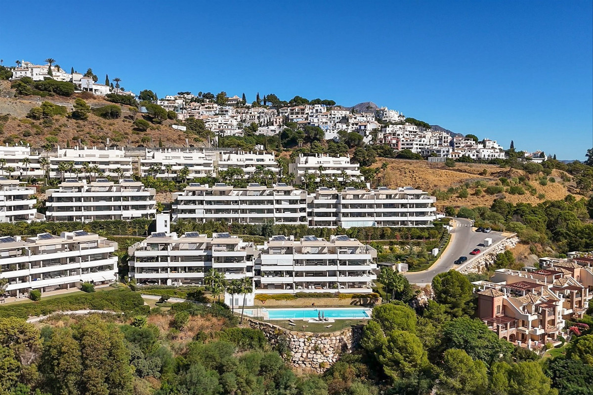 c4dddbab70c17e473c1ad19e12200b5d - 34