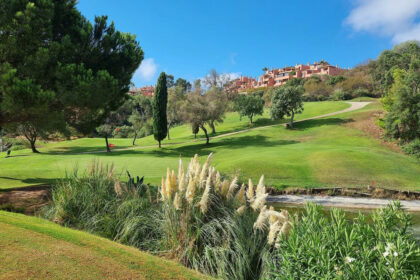 c6193e04eeee5883f8be58a5f898e1ec - 43