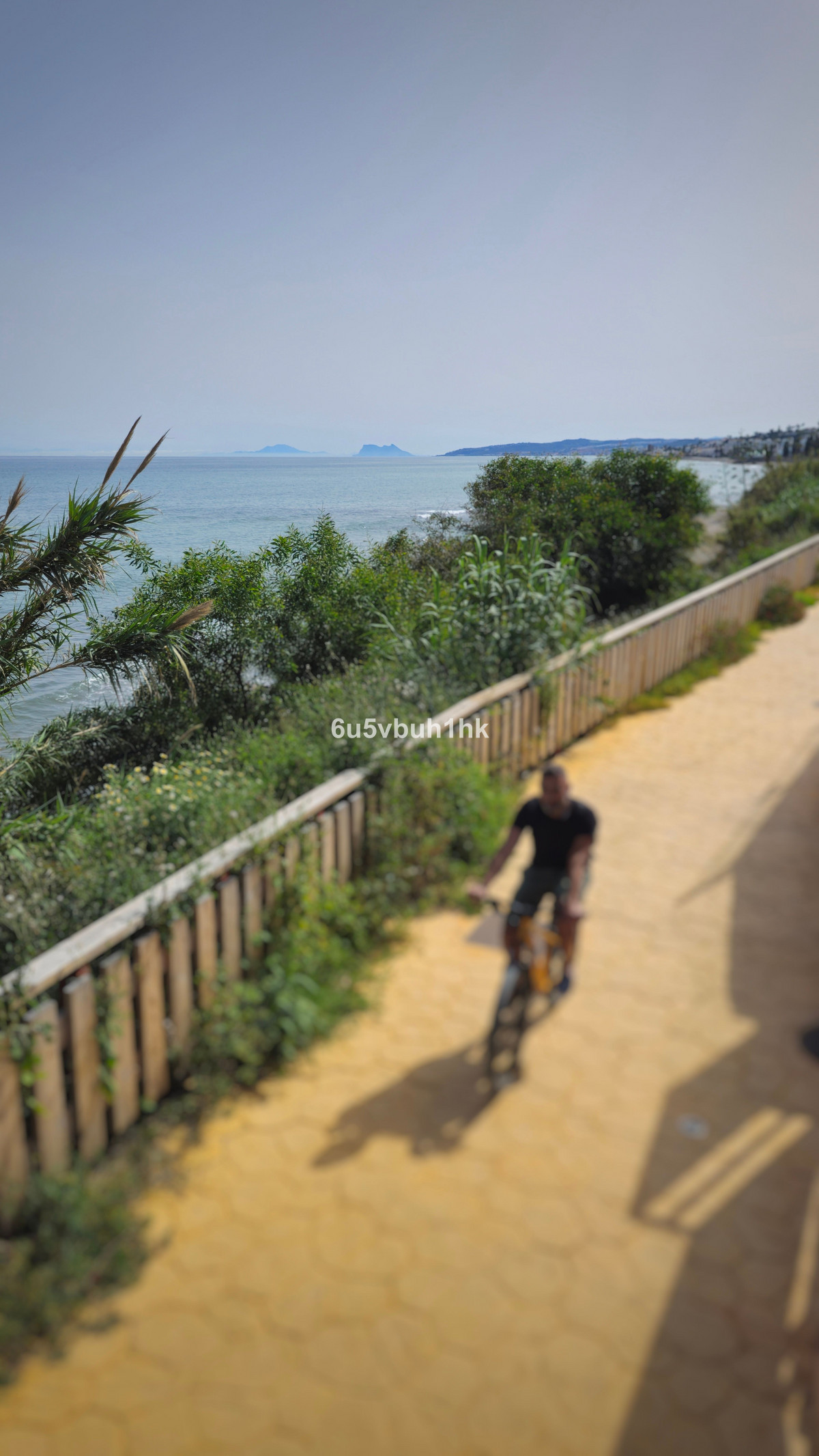 c6b6f125f246534889732be2602609ea - 29