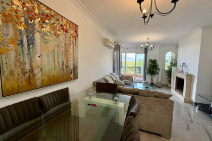 c7da4e311ab05e4d596a4fe73122d699 - 17