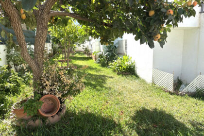 c8bc605f1dec71ddd004999fc41aaae7 - 50