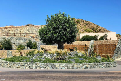 c96c21dbbf1eb4c5ce795dc57d318e6f - 24