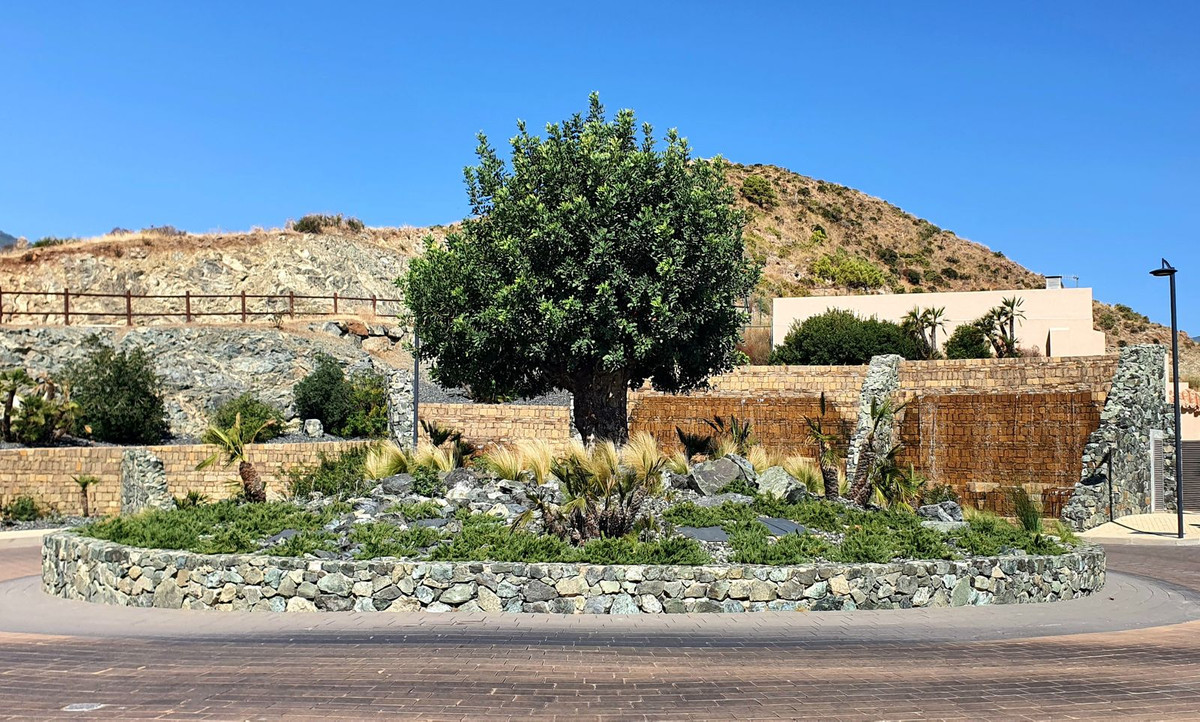 c96c21dbbf1eb4c5ce795dc57d318e6f - 24