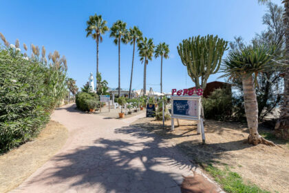 ca5b290d91c79a67c590d78195eb1315 - 31