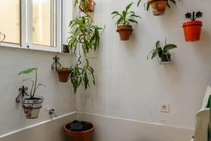 cab08a8ad6e08a6fee6c72926aa5531d - 11