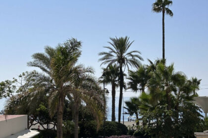 cb3369bcc735ec30351e339ccf32fa2c - 24