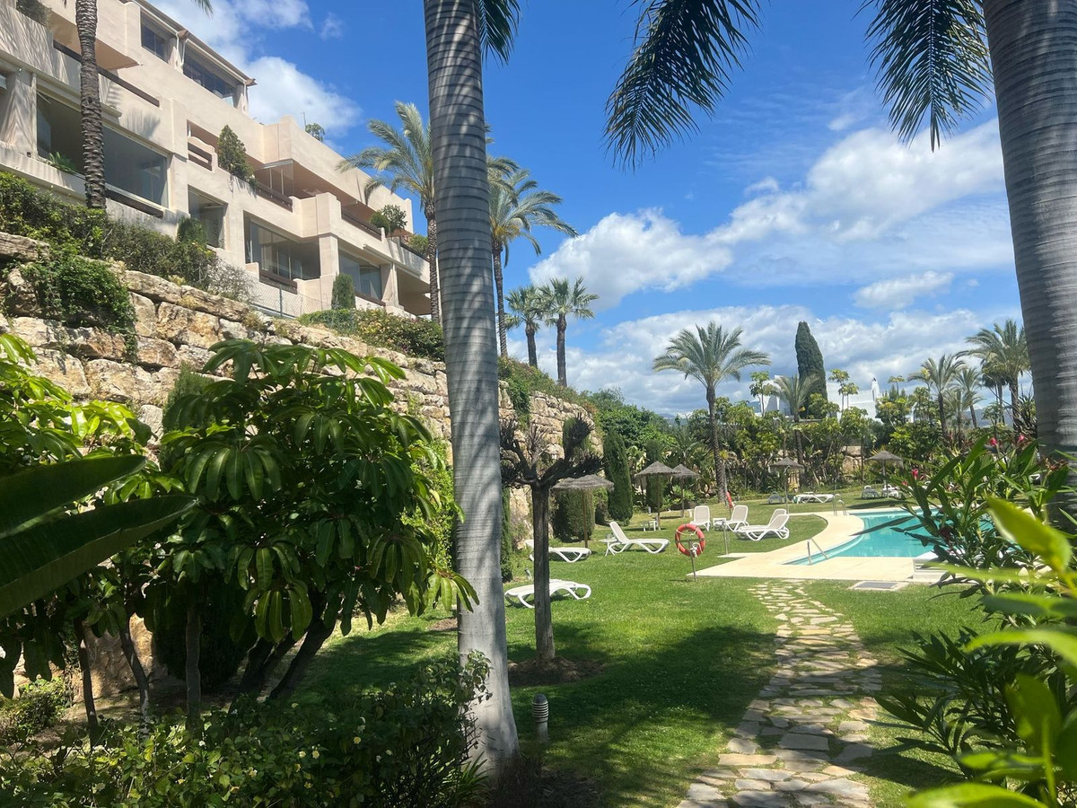 cd953c16dc7e3f5a08bd58703b42db51 - 1