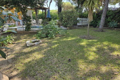 cdfa66efeddbbcd386a7c71eb9e6ee12 - 17