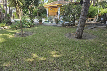 cdfa66efeddbbcd386a7c71eb9e6ee12 - 18