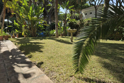 cdfa66efeddbbcd386a7c71eb9e6ee12 - 21