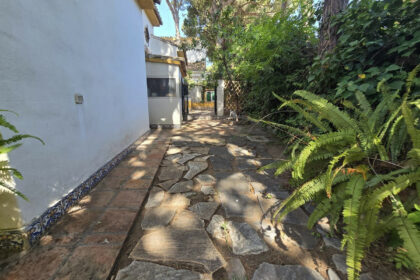 cdfa66efeddbbcd386a7c71eb9e6ee12 - 37