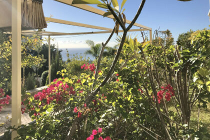 d2b2fe4e7d1060ccd406a0dcce4d4a56 - 33