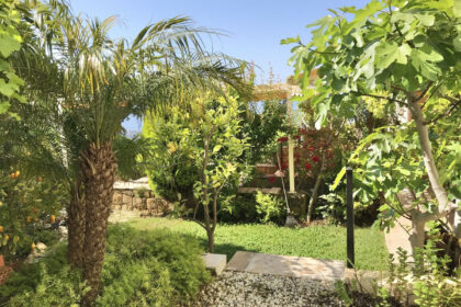 d2b2fe4e7d1060ccd406a0dcce4d4a56 - 36