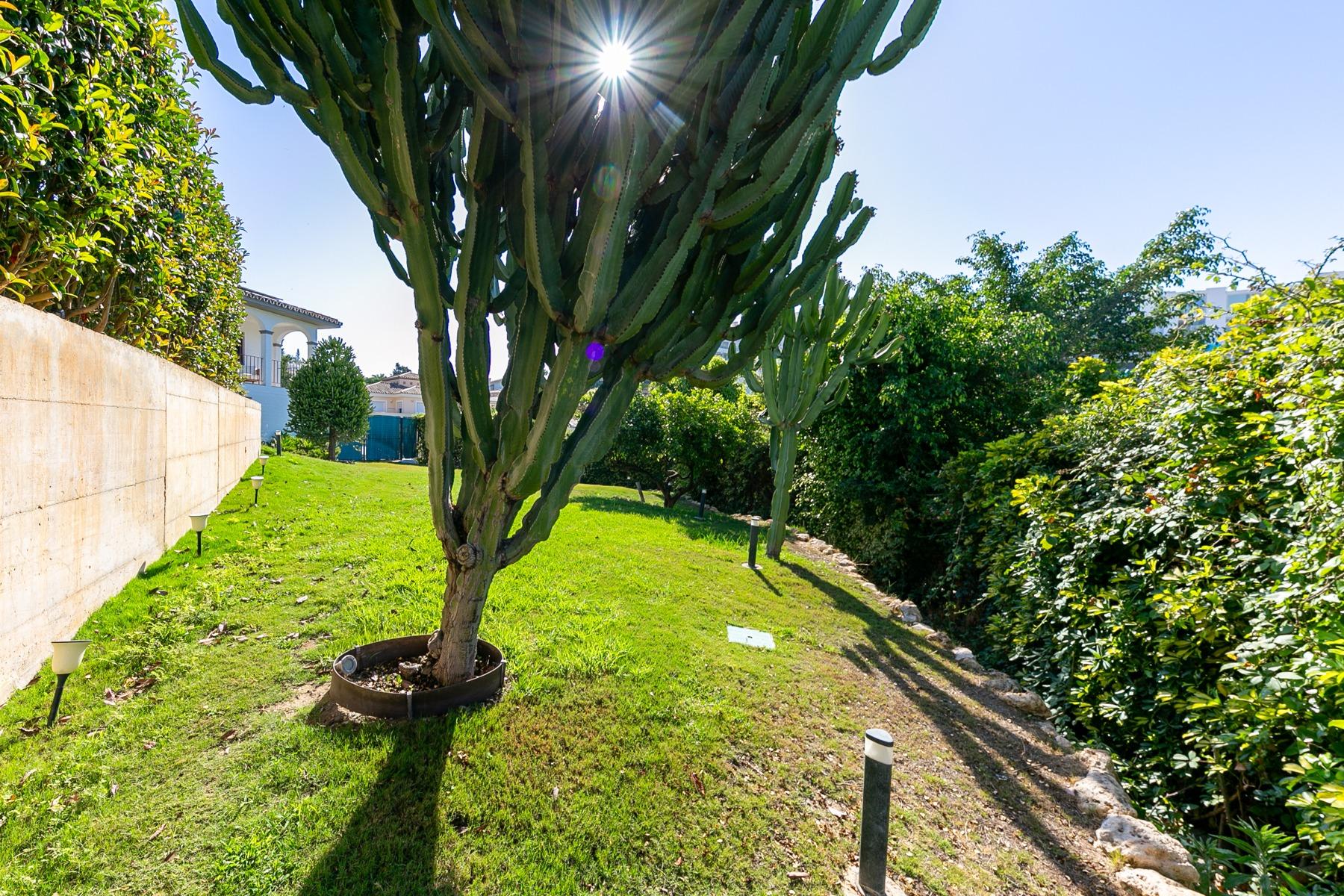 jardin