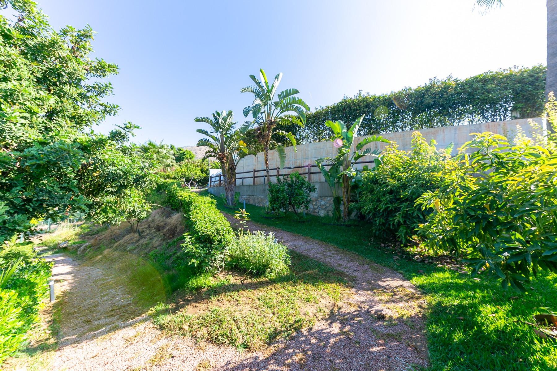 jardin