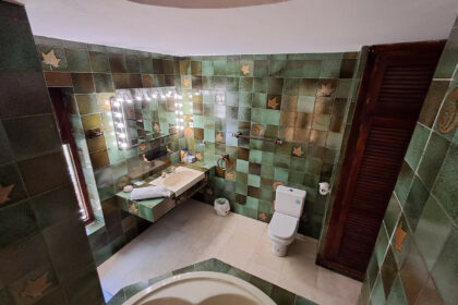 d4d3fd196ea65a92fcd9be1472a67cf8 - 36