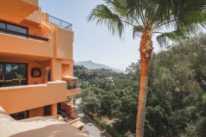 d55ec7dba2a24fd541319abedf754e21 - 17