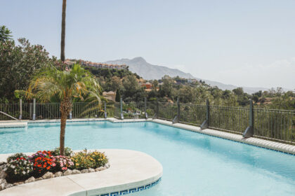 d55ec7dba2a24fd541319abedf754e21 - 2