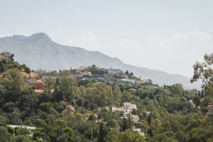 d55ec7dba2a24fd541319abedf754e21 - 21