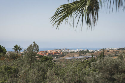 d55ec7dba2a24fd541319abedf754e21 - 22